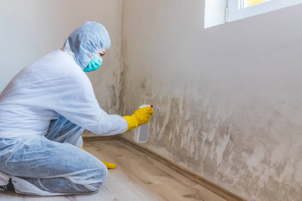Hvac And Air Duct Mold Remediation inspection of HVAC system in Jefferson